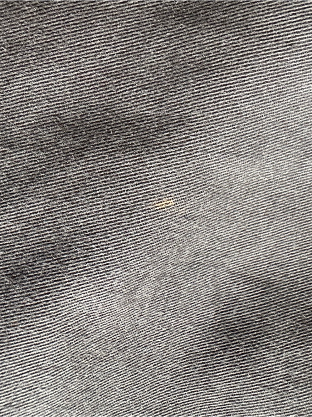 Everlane Black Elastic-Waist Shorts - Picture 3 of 5